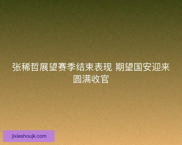 张稀哲展望赛季结束表现 期望国安迎来圆满收官
